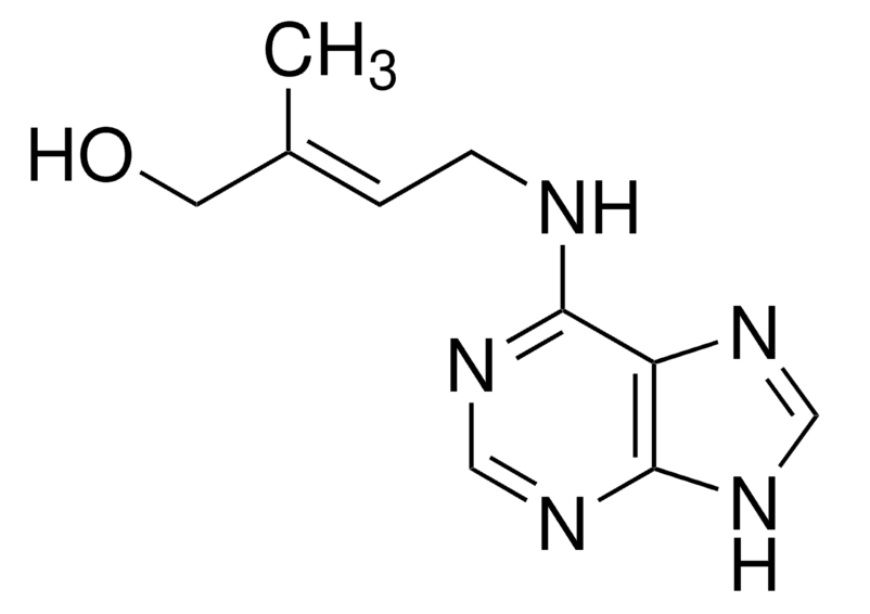 玉米素